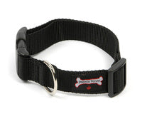 Smoochy Poochy Nylon Quick Release Clip Collar - Various Colours