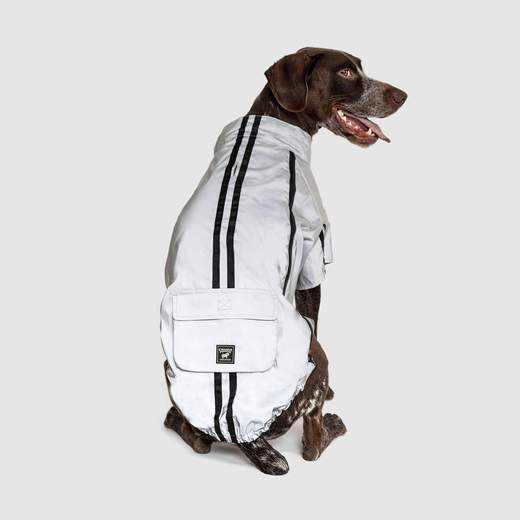 Canada Pooch Night Vision Reflective Jacket - Grey