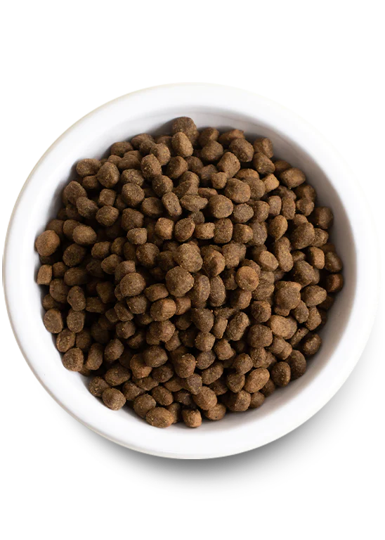 Open Farm - Kind Earth Premium Insect Kibble Dog Food