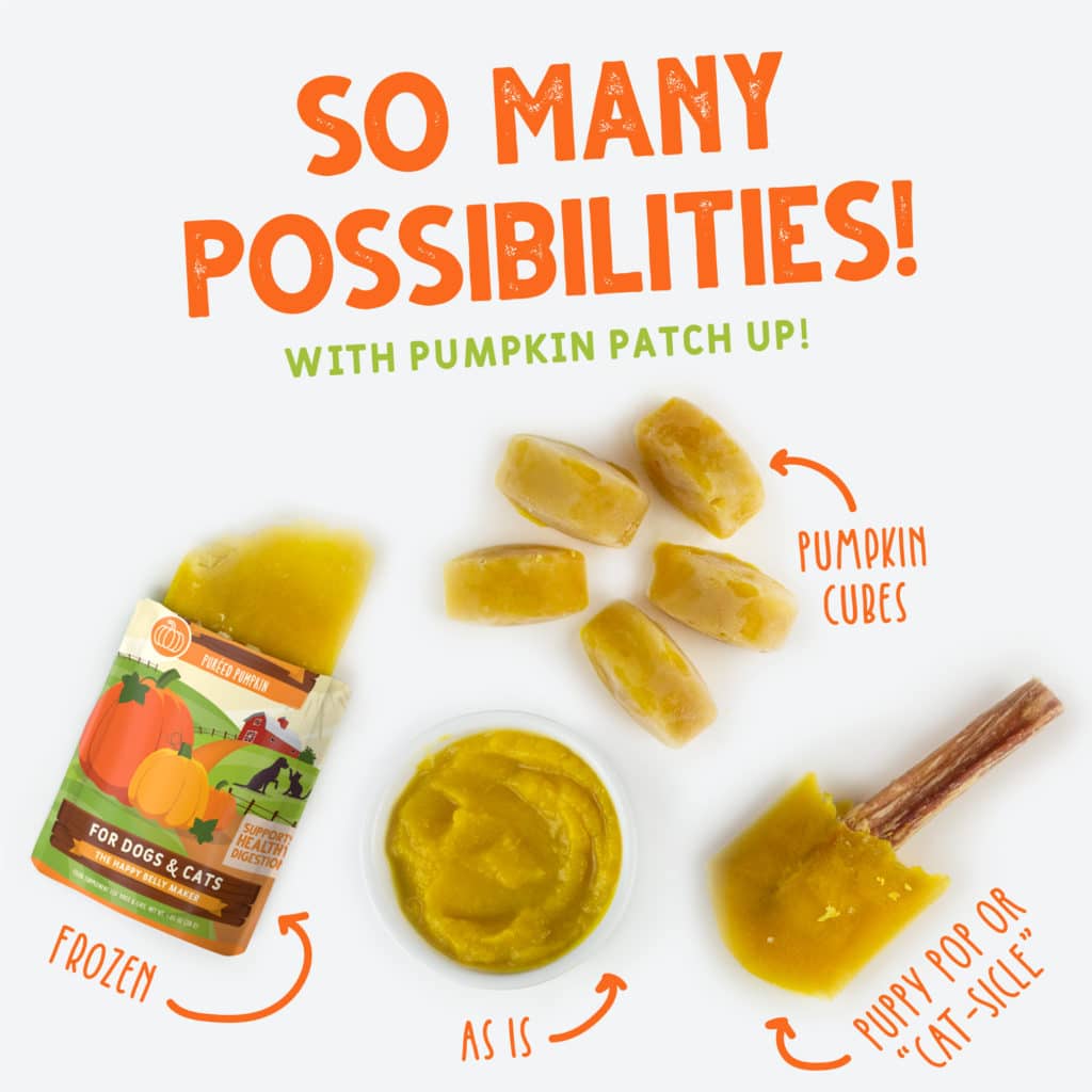 Weruva Pumpkin Patch Up! Pumpkin with Ginger &amp; Turmeric Supplement Pouch