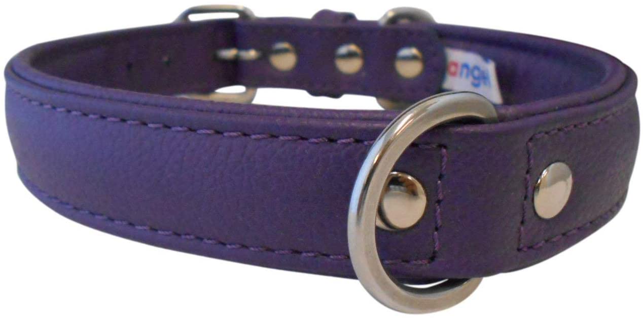 Angel Alpine Plain Leather Collar