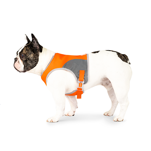 Canada Pooch High Visibility Safety Vest - Orange