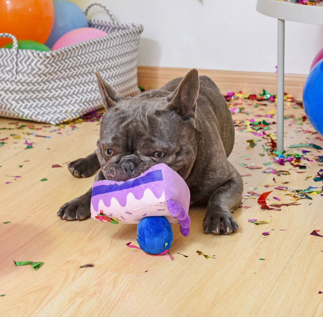 HugSmart Fuzzy Friendz Pooch Sweets - Blueberry Cake Dog Toy