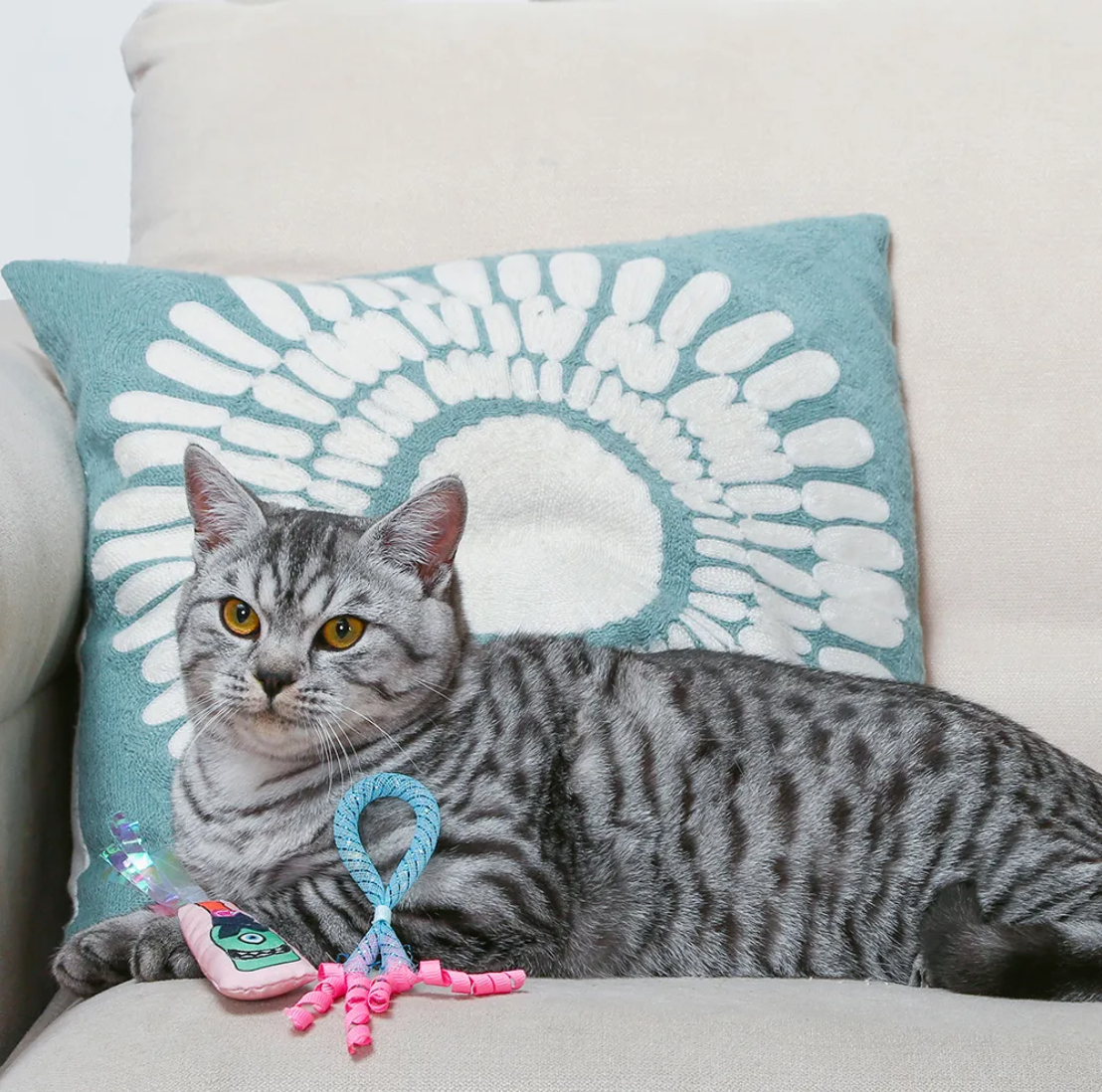 HugSmart Kitten Party - Wine Bottle Toy (2pk)