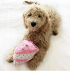 Zippy Paws - Pink Birthday Cake Dog Toy