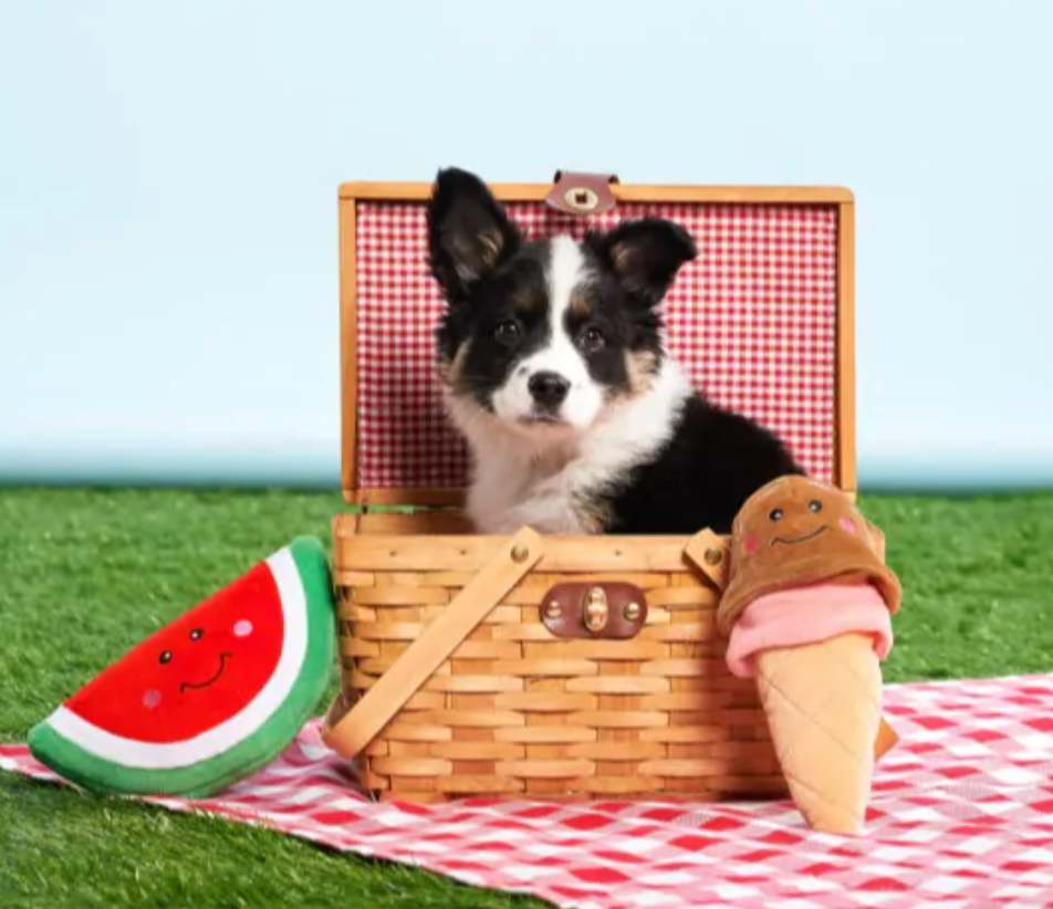 Zippy Paws NomNomz Ice Cream Cone Dog Toy