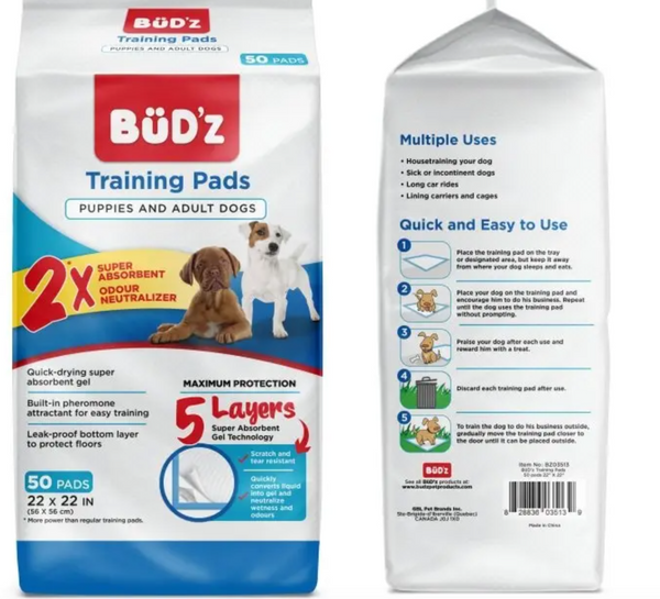 Buddy and 2025 bella training pads