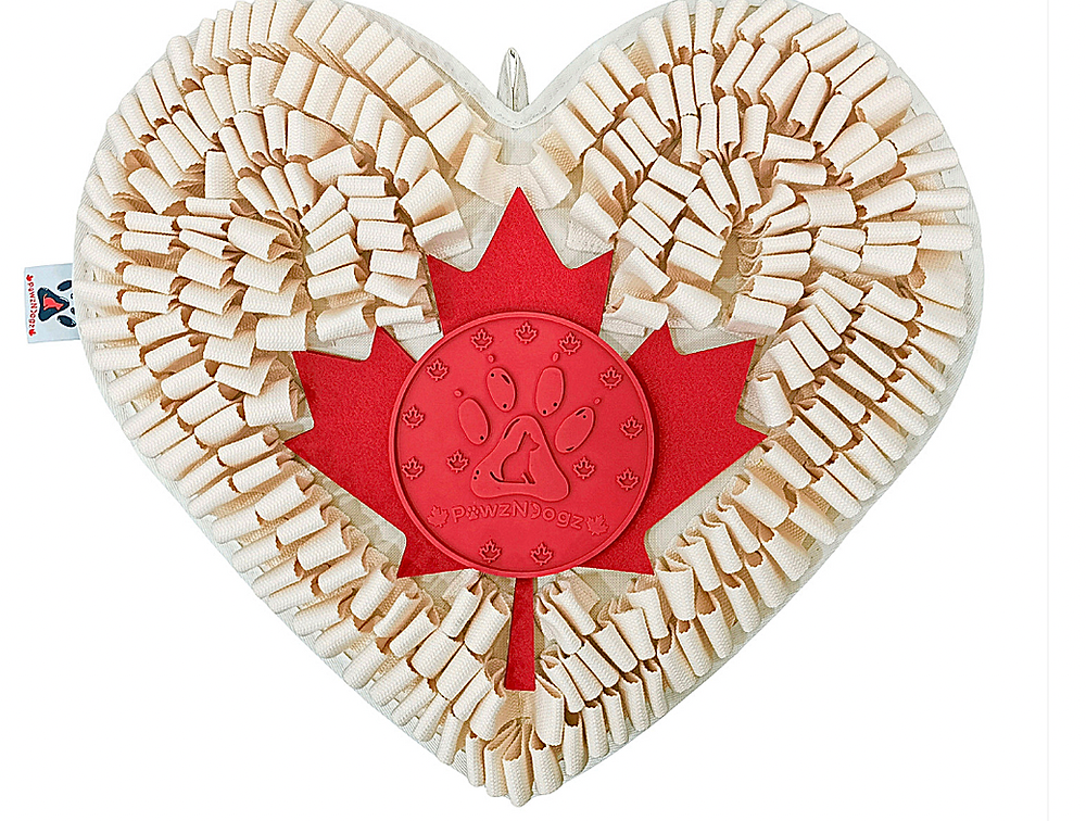 PawzNDogz Boundless Love Snuffle Mat- Level 3