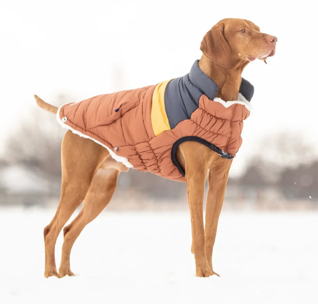 GF Pet Retro Puffer