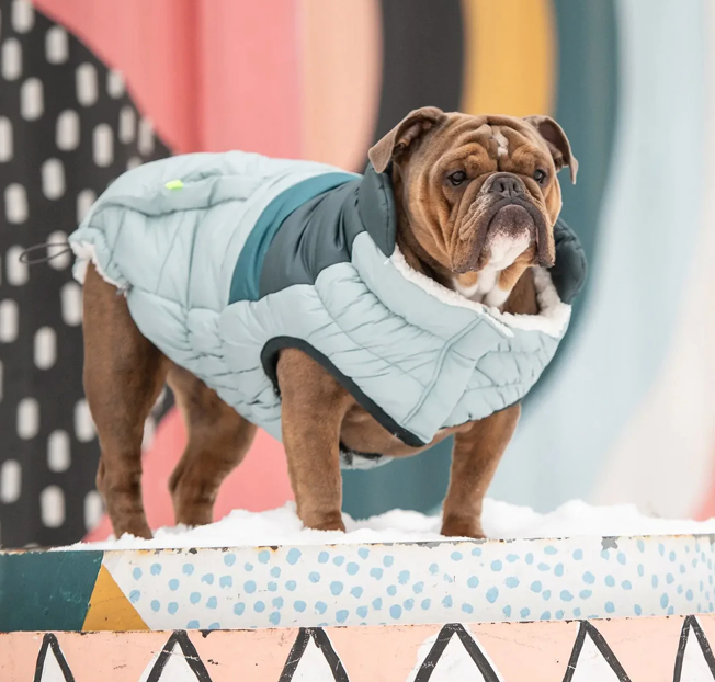 GF Pet Retro Puffer