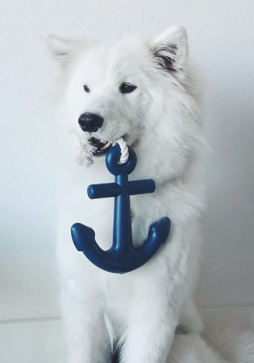 Waggo Anchors Aweigh Rubber Dog Toy