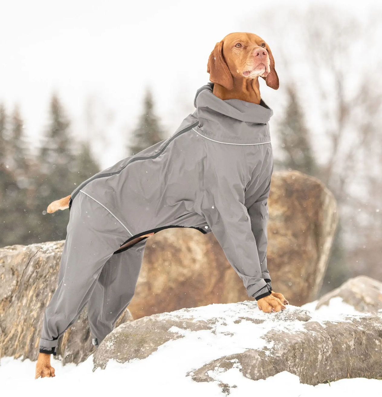 GF Pet Splash Suit - Charcoal