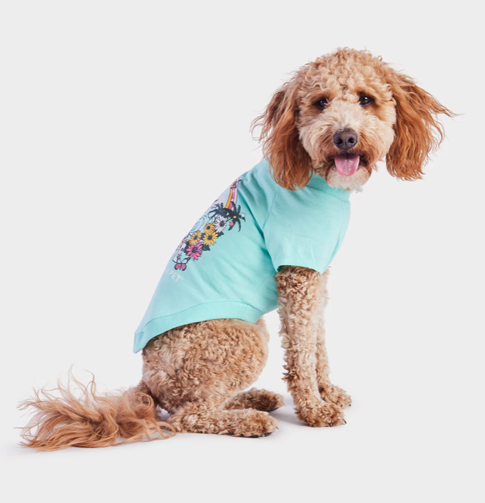 GF Pet &quot;Love&quot; Graphic Tee - Heather Aqua