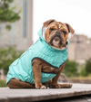 GF Pet Reversible Raincoat