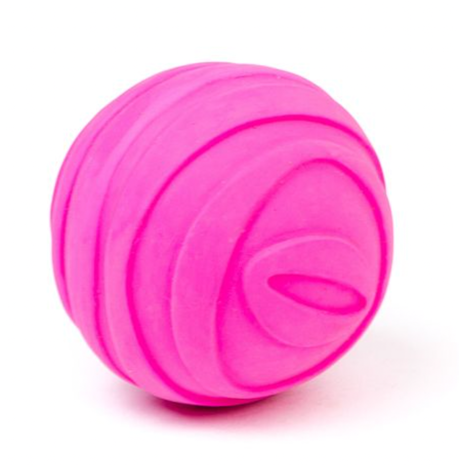 Bud'z Latex Squeaker Ball