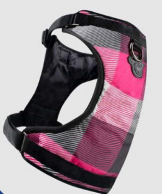 Canada Pooch Everything Harness