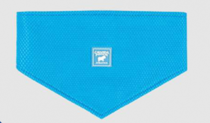 Canada Pooch Cooling Bandana -