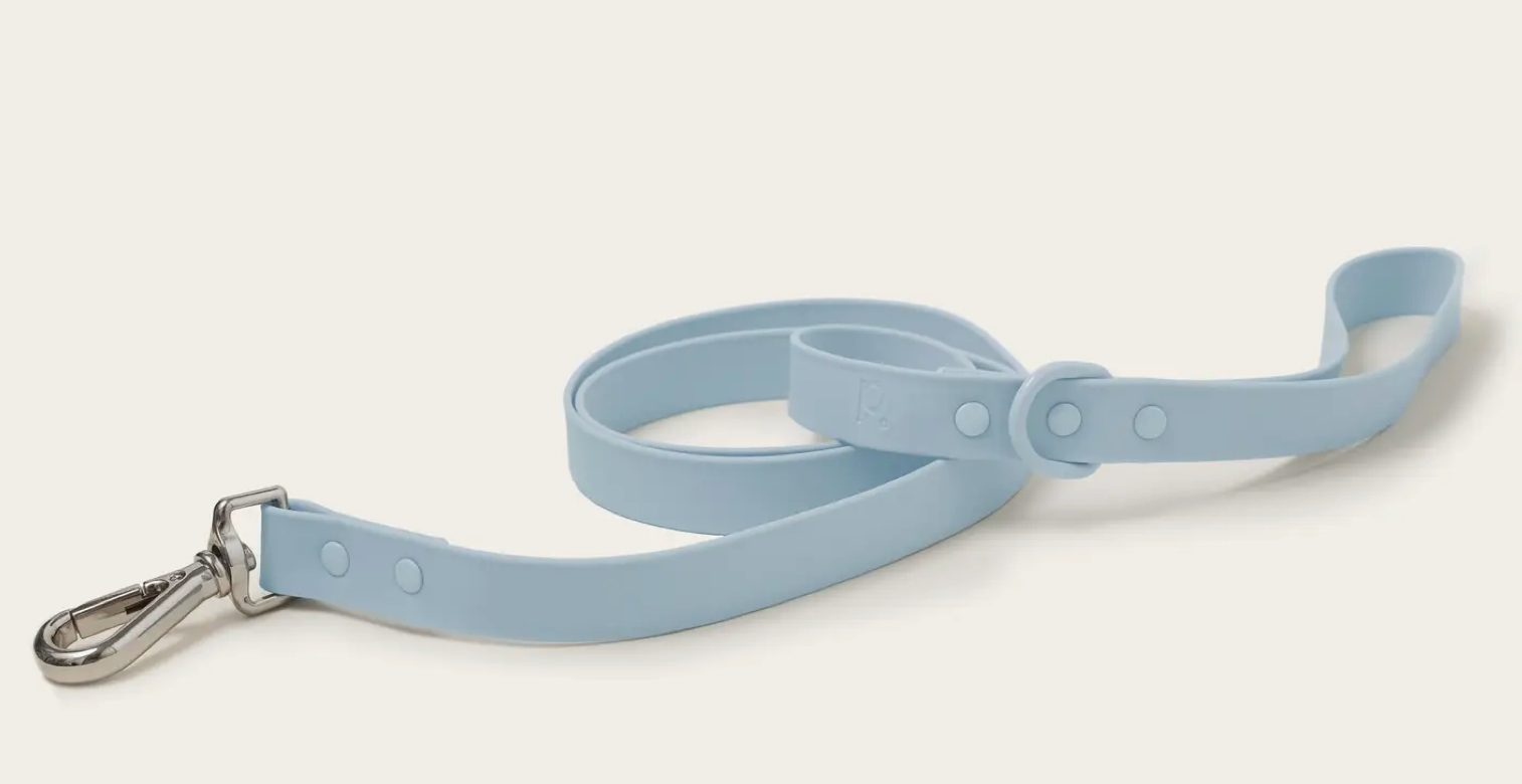 Peachy Dogs Classic 2.0 Leash -