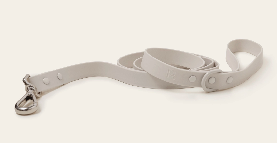 Peachy Dogs Classic 2.0 Leash -