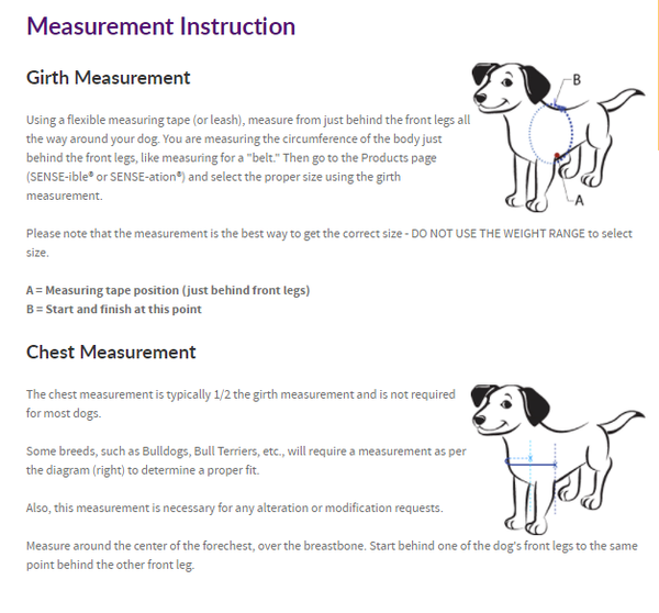 Sense ation harness fitting sale