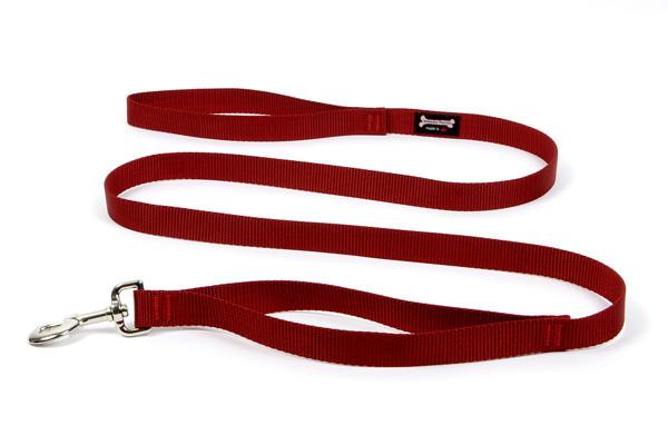 Smoochy Poochy Nylon Regular Style Leash