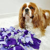 FouFouBrands Hide n Seek Snuffle Mat