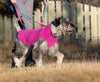 RC Pets - BaseLine Fleece Pullover - Various Colours