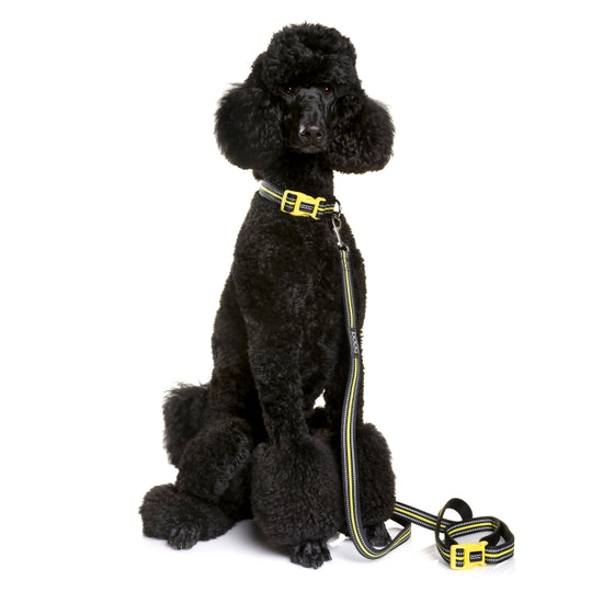 Clip It' Neoprene Dog Leash - PONGO