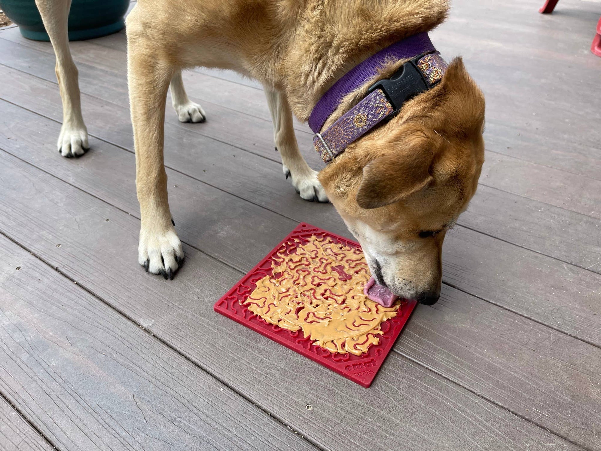 SodaPup Enrichment Lick Mat - Bones Design