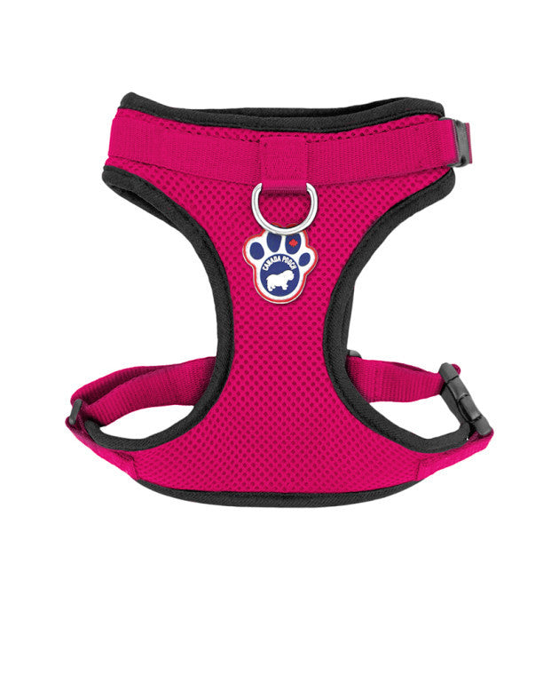 Canada Pooch Everything Harness