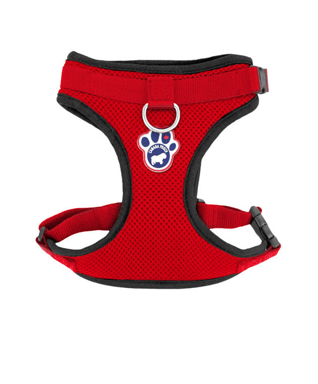 Canada Pooch Everything Harness