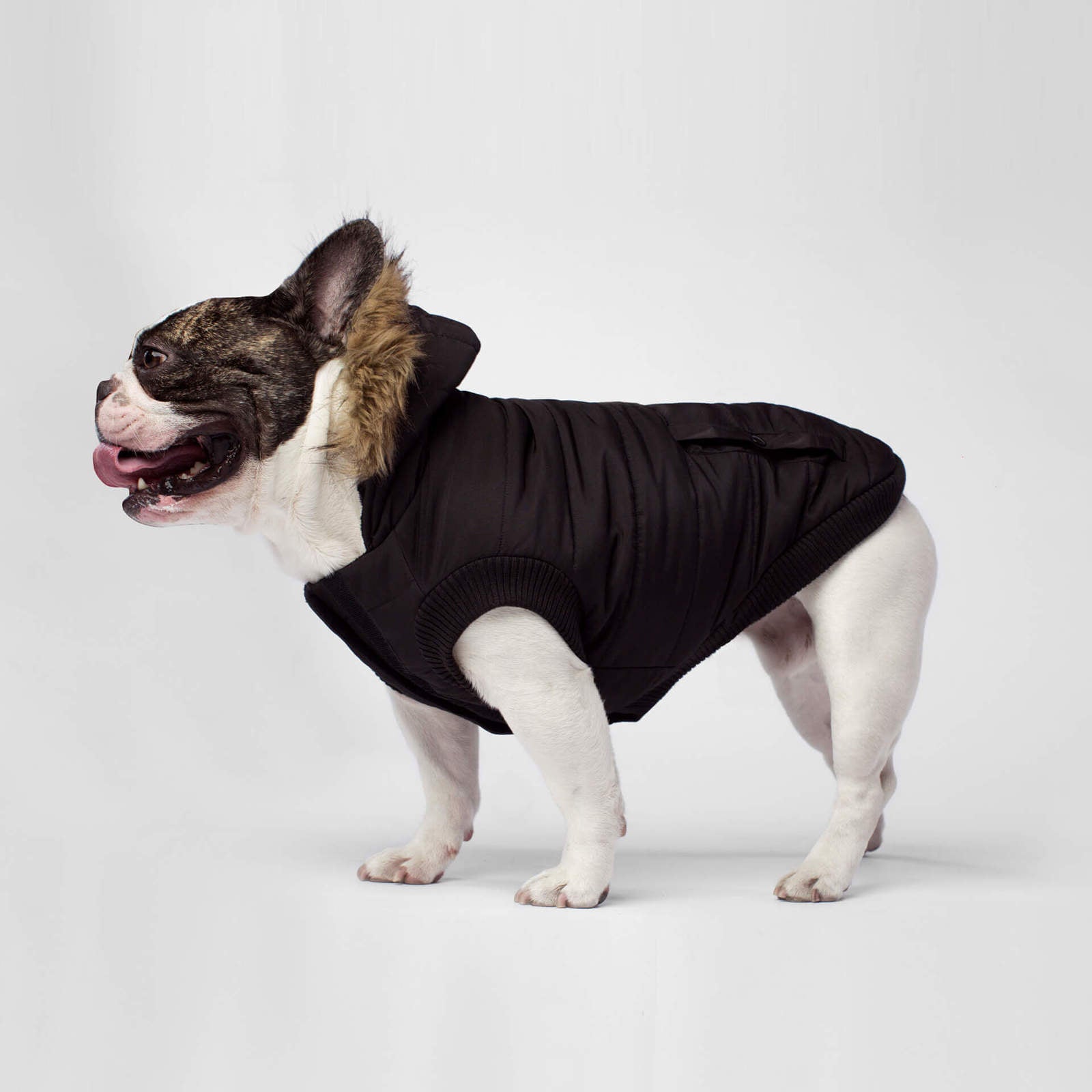 Canada pooch north pole dog parka deals