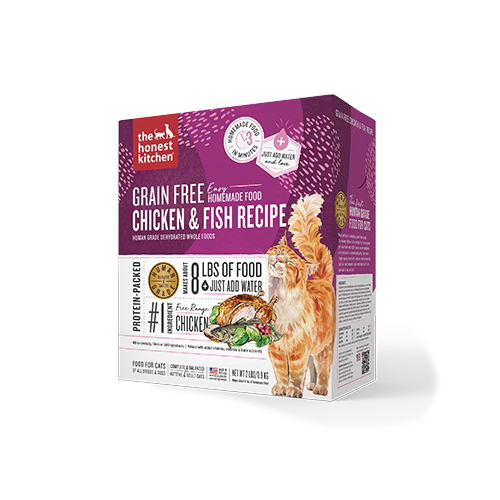 Honest kitchen cat sales food
