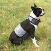 Cooler Dog - Cooling Vest &amp; Collar
