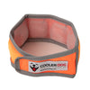 Cooler Dog Hi-Vis Cooling Dog Collar - Orange