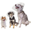 Pivetal Baxter E-Collar - Clear Elizabethan Dog Collar