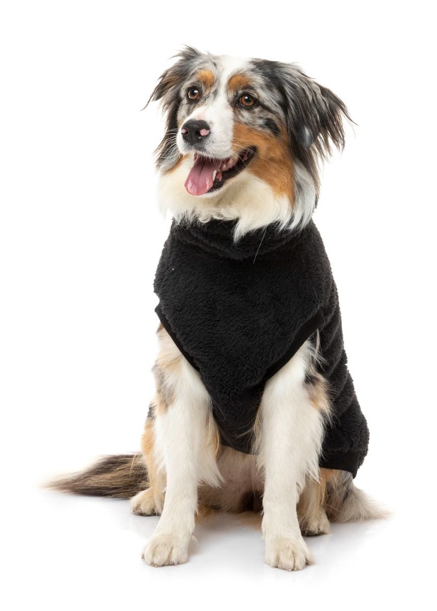 Fuzzyard pet apparel new arrivals