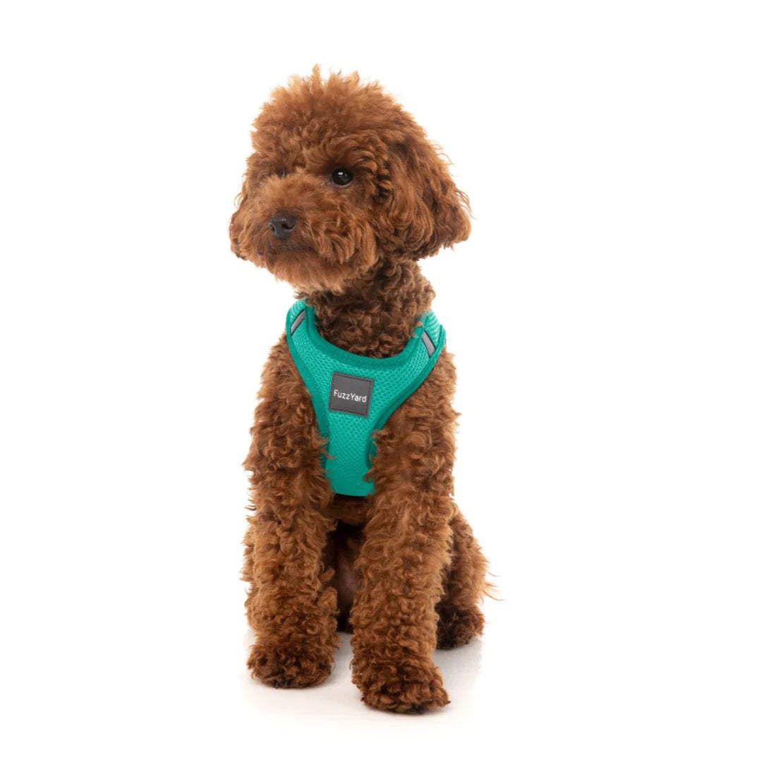 Fuzzyard dog harness hot sale