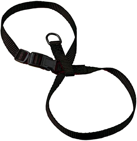 Hamilton Adj. Figure 8 Black Harness for Cats