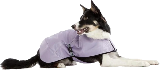 Hurtta Cooling Coat Wooftown