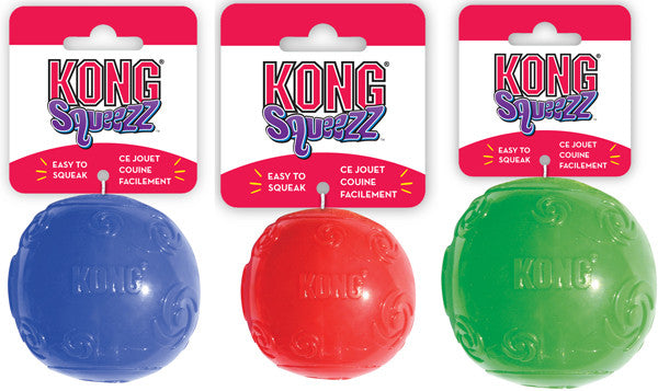 Kong 2025 squeezz ball