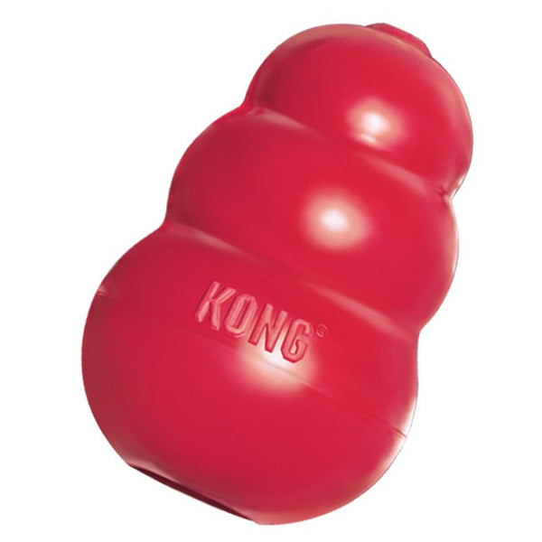 Kong 2025 dog toys