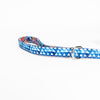 Lucy &amp; Co. Royal Garden - Blue with Flowers Handle - Dog Leash