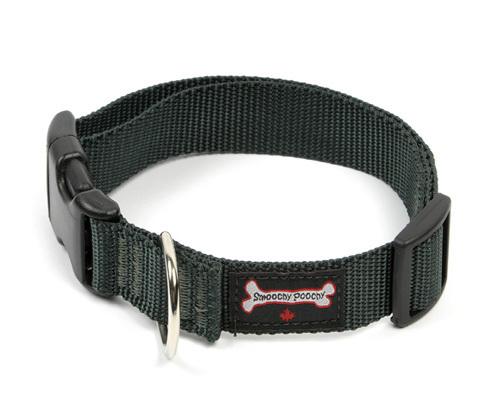 Dog collars for sale near me sale