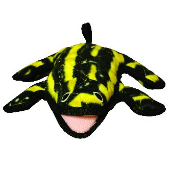 Tuffy Desert Creatures - Phrog Dog Toy