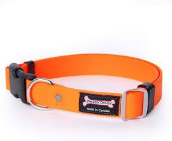 Smoochy Poochy Polyvinyl Quick Release Clip Collar - Various Colours
