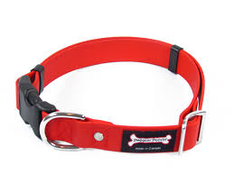 Smoochy Poochy Polyvinyl Quick Release Clip Collar - Various Colours