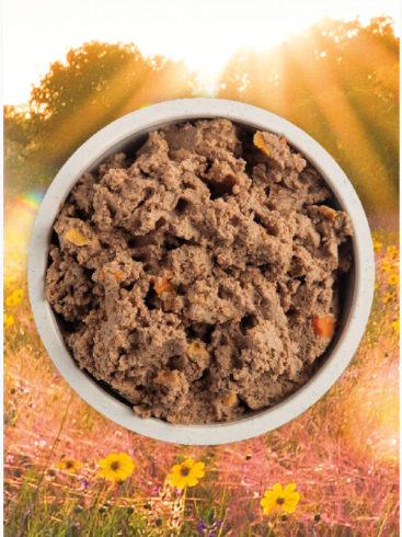 Acana Premium Paté - Puppy Recipe in Bone Broth Canned Dog Food (12.8oz/363g)