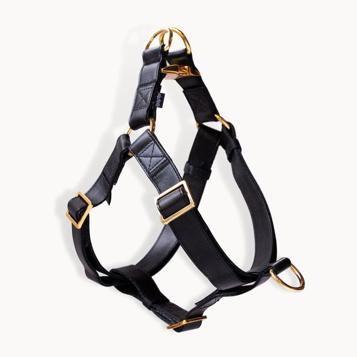 Leather dog discount harness and leash