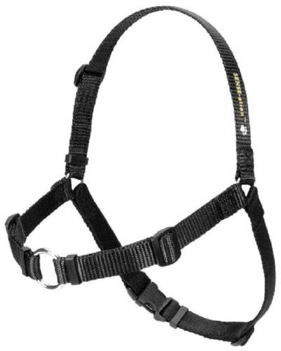 SENSE-ation Dog Harness - Various Colours